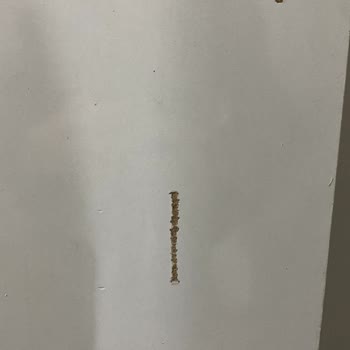 Garaj Home Deforme Gardırop Ve Eksik Parçalar, Cevapsız Müşteri Hizmeti