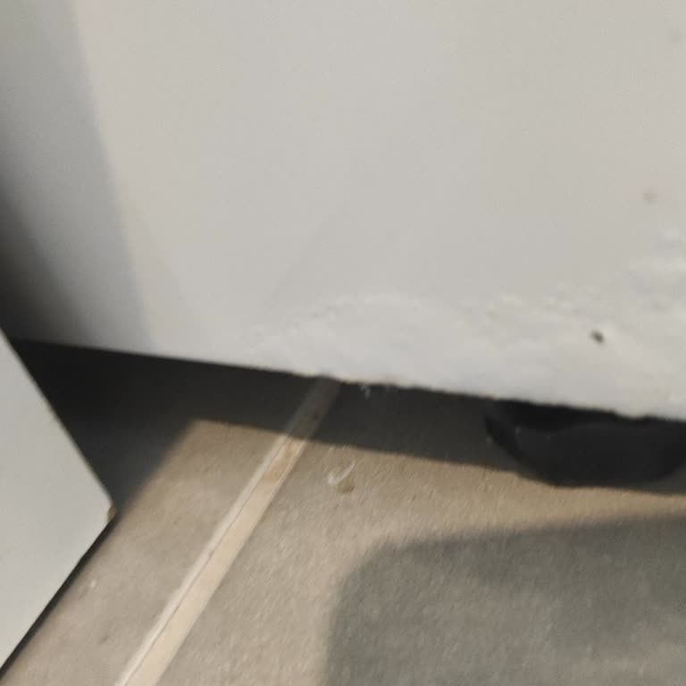 Beko Çamaşır Makinesinin Deterjan Gözü Paslanması Garanti Kapsamında Değişim Talebi