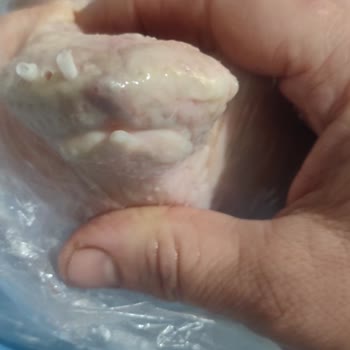 Son Kullanma Tarihi Geçmemiş Bozulmuş Tavuk Ürünü İçin İade Talebi