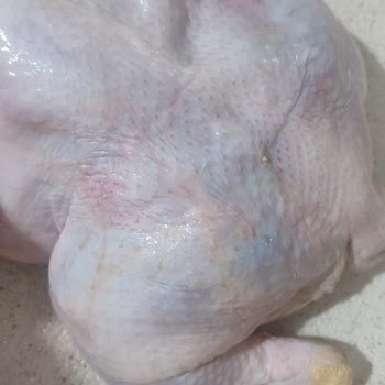 Son Kullanma Tarihi Geçmemiş Bozulmuş Tavuk Ürünü İçin İade Talebi