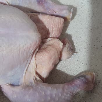 Son Kullanma Tarihi Geçmemiş Bozulmuş Tavuk Ürünü İçin İade Talebi