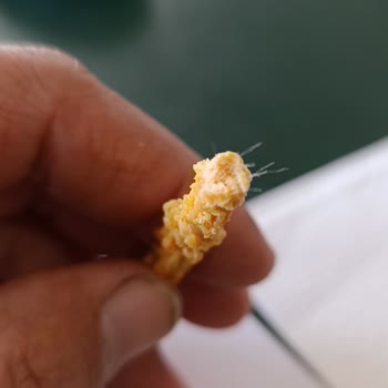 Eti Crax Patlayan Lezzet Krakerinde Yabancı Madde Ve Sağlık Riski