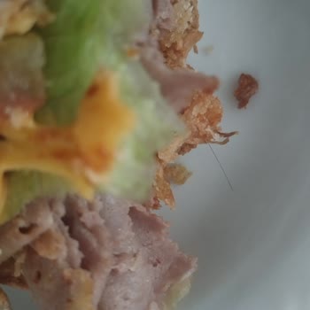 Arby’s Hamburgerinde Kıl Benzeri Yabancı Madde Ve Çözüm Talebi