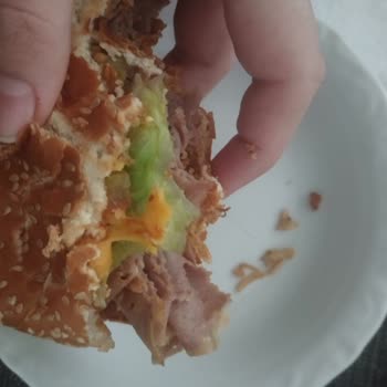 Arby’s Hamburgerinde Kıl Benzeri Yabancı Madde Ve Çözüm Talebi