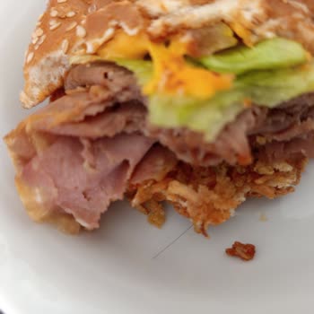 Arby’s Hamburgerinde Kıl Benzeri Yabancı Madde Ve Çözüm Talebi