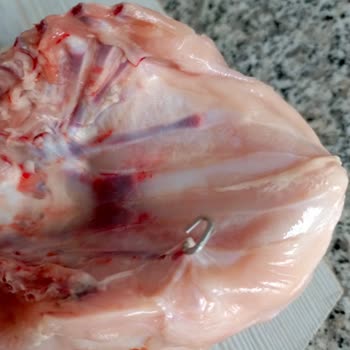 BİM Marketinde Satılan Bupiliç Tavuk Ürününde Metal Yabancı Madde