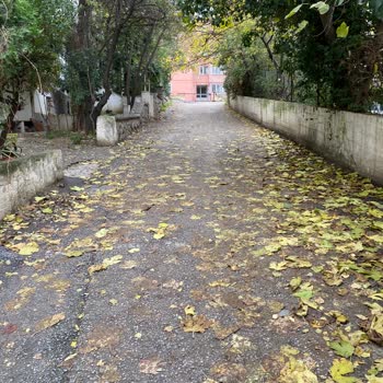 İdealtepe Mahallesi Sokaklarında Hijyen Sorunu, Çöp Toplama Eksikliği Ve Kedi Atıkları