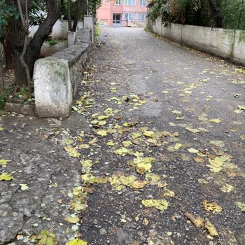 İdealtepe Mahallesi Sokaklarında Hijyen Sorunu, Çöp Toplama Eksikliği Ve Kedi Atıkları