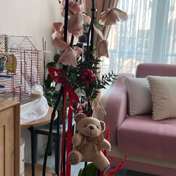 Orkide Teslim Edildiğinde Solmuş İki Gün İçinde Tamamen Kurudu