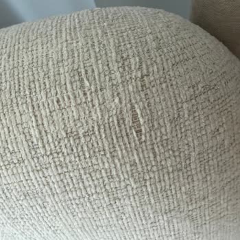 Pati Dostu Koltukta Tekrarlayan Tiftiklenme Ve Garanti Koşulu Olarak Barınak Sahipliği