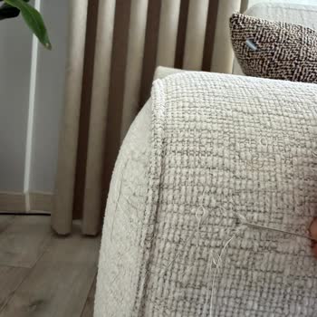 Pati Dostu Koltukta Tekrarlayan Tiftiklenme Ve Garanti Koşulu Olarak Barınak Sahipliği