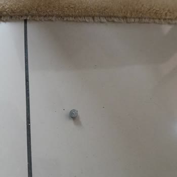 Migros’tan Alınan Clipper Çakmağın Patlaması Ve Maddi Hasar Talebi