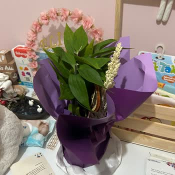 Lilyum Çiçeğinde Kırık Dallar Ve Özensiz Hazırlık Teslim Edildi