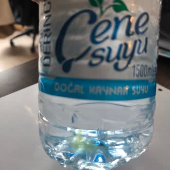 Çenesuyu Suyunda Yosun Görülmesi Sağlık Endişesi Yaratıyor