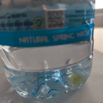 Çenesuyu Suyunda Yosun Görülmesi Sağlık Endişesi Yaratıyor