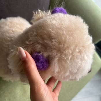 Pink Pug Pet Kuaför & Pet Shop Fiyat Farkının Tarafıma İade Edilmesini Talep Ediyorum