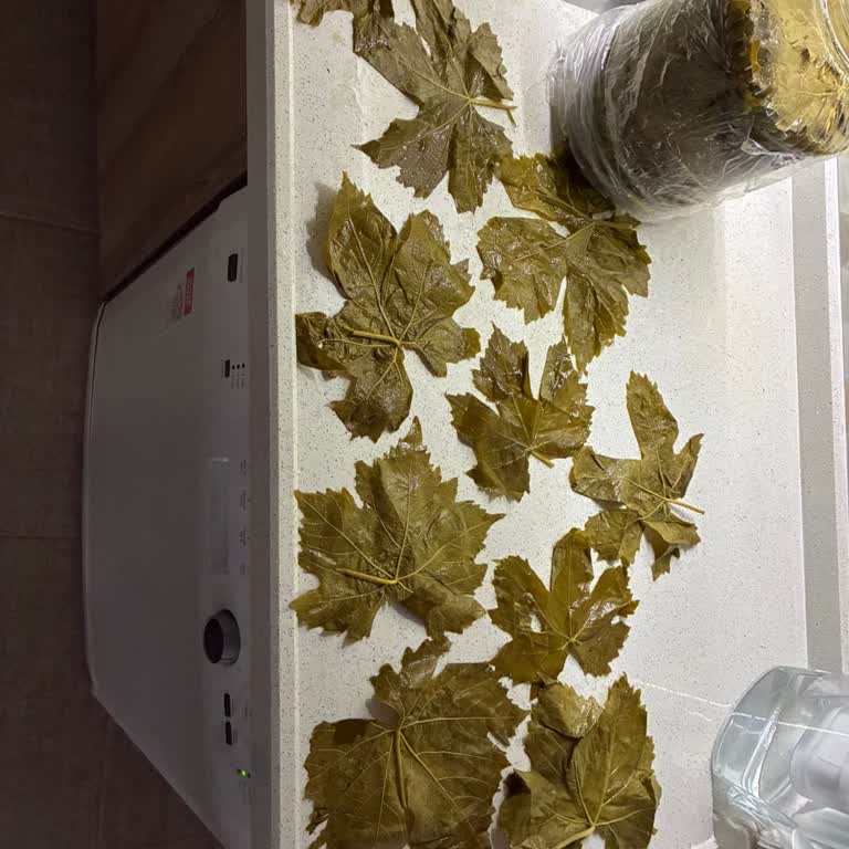 Yanıltıcı Ürün Görselleri Ve İade Garantisinin İhlali