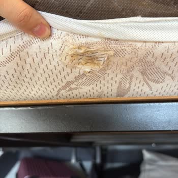 Kullanılmış Yatak Gönderildi, Yeni Yatak Söz Verildi Ancak 1,5 Ay Süreyle Geri Dönüş Yok