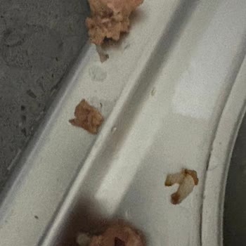 Köfteci Yusuf’ta Kemik Parçalı Ve Kötü Kokulu Et Ürünleri İçin İade Talebi