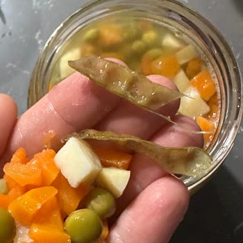 Tamek Garnitür Konservesinde Bezelye Kabuğu Bulunması Hijyen Endişesi