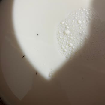 BİM Marketinden Alınan Süt İçinde Toz Ve Böcek Parçacıkları