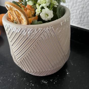 Kalanchoe Saksısındaki Çatlak Ve Beyaz Dökülmeler İade Talebi