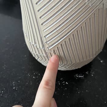 Kalanchoe Saksısındaki Çatlak Ve Beyaz Dökülmeler İade Talebi