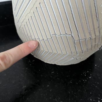 Kalanchoe Saksısındaki Çatlak Ve Beyaz Dökülmeler İade Talebi