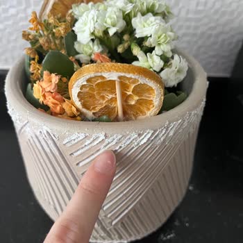 Kalanchoe Saksısındaki Çatlak Ve Beyaz Dökülmeler İade Talebi