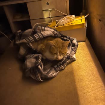 Şok Market'te Gömlek İçeriği Yanıltması Ve Kalite Sorunu