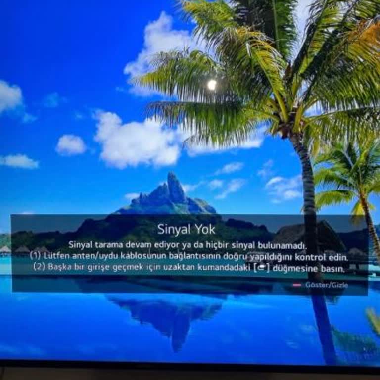 Sunny AX55FIL243 Televizyonda Sinyal Yok Sorunu, Hızlı Tamir Ya Da Değişim Talebi