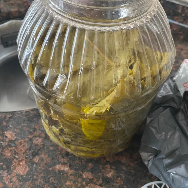 Fatma'nın Bahçesi Mağdur Oldum