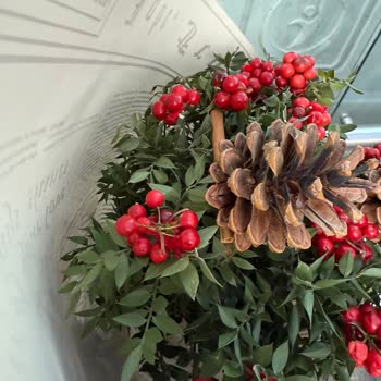 Kokina Çiçeği Çürük Geldi, İade Reddi Ve Erkek Parfümü Teklifi