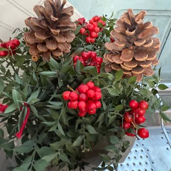 Kokina Çiçeği Çürük Geldi, İade Reddi Ve Erkek Parfümü Teklifi