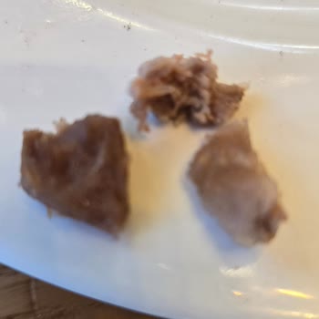 Merve Pide Şubesinde Kalitesiz Pide Ve Şefin Umursamaz Tutumu