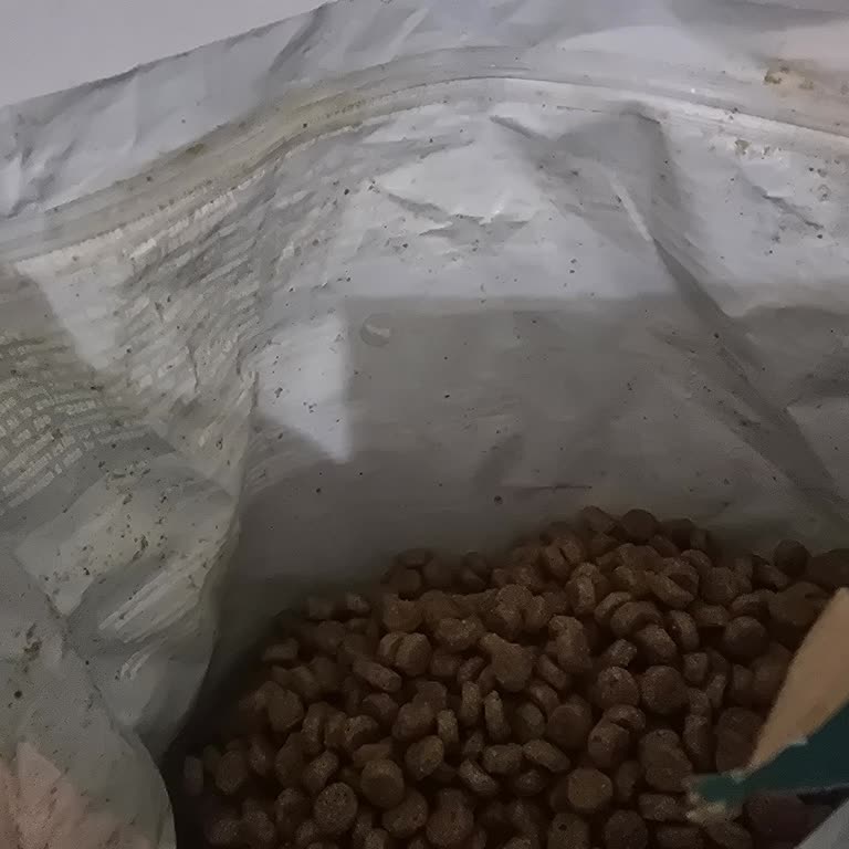 Bozuk Kedi Maması Ve İade Reddi