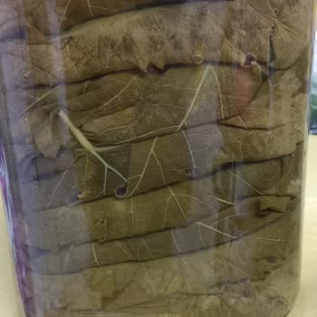 Egeden Köy Ürünleri (egedenkoyurunlerii) Alakasız Ürün Gönderdi