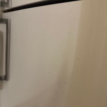 Siemens Ev Aletleri Alt Buzluk Kapak Paslanması Ve Garanti Talebi