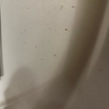 Siemens Ev Aletleri Alt Buzluk Kapak Paslanması Ve Garanti Talebi