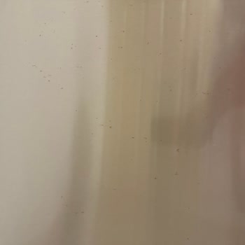 Siemens Ev Aletleri Alt Buzluk Kapak Paslanması Ve Garanti Talebi