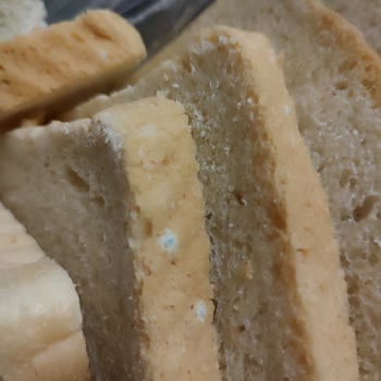 Küflü Tost Ekmeği Gönderimi Ve İade Talebi