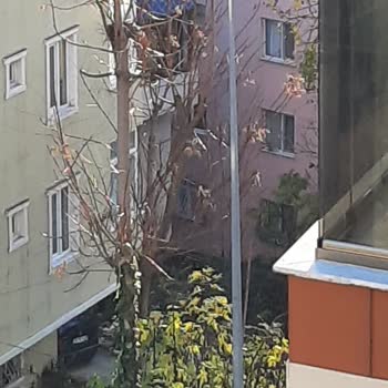 Sabahları Karanlıkta Bırakan Hatalı Sokak Aydınlatma Saatleri