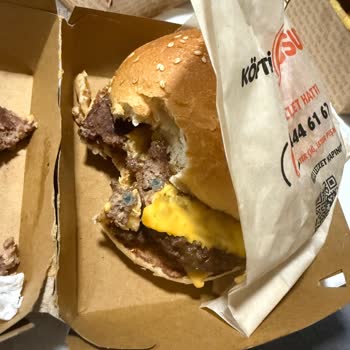 Küflenmiş Köfteli Çift Burger, Hijyen İhlali