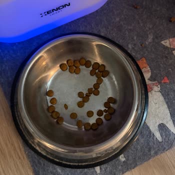 Royal Canin Mama Kedilerde Kusma Ve Site Yanıtsız İade Talebi