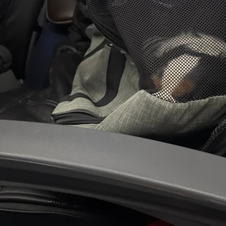 Enver Geçgel Turizm Sürücünün Sözlü Tehdidi Ve Evcil Hayvanlı Yolcu Haklarına Saygısızlık