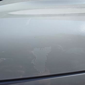 Yeni Citroen C5 Aircross'ta Ön Kaput Boya Atması Garanti Kapsamına Alınmadı