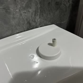 Vitra Yavaş Açılır Kapanır Parçası Plastik Olması Nedeniyle Kırıldı