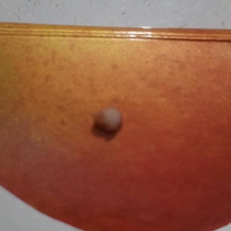 A101 Market Mangal Sucukta Kemik Parçası Çıktı Diş Ağrısı Ve Güven Sorunu