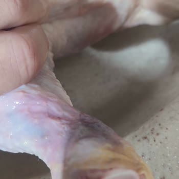 Morluklu Tavuk Ürünü Üzerinden İade Talebi Ve Müşteri Mağduriyeti