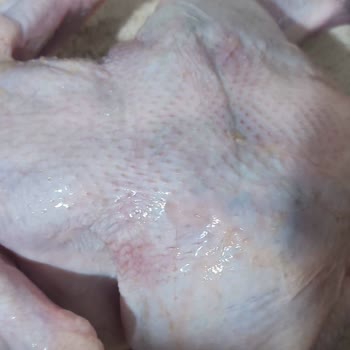 Morluklu Tavuk Ürünü Üzerinden İade Talebi Ve Müşteri Mağduriyeti